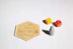 Catan Dice