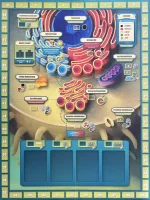 Cytosis A Cell Biology game board