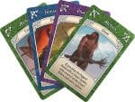 Ethnos Card