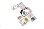 Ohanami components
