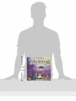Takenoko size
