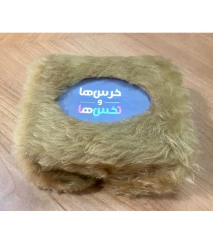خرس ها و بچه ها