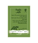 گنگ بالاس